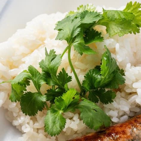 Sticky rice