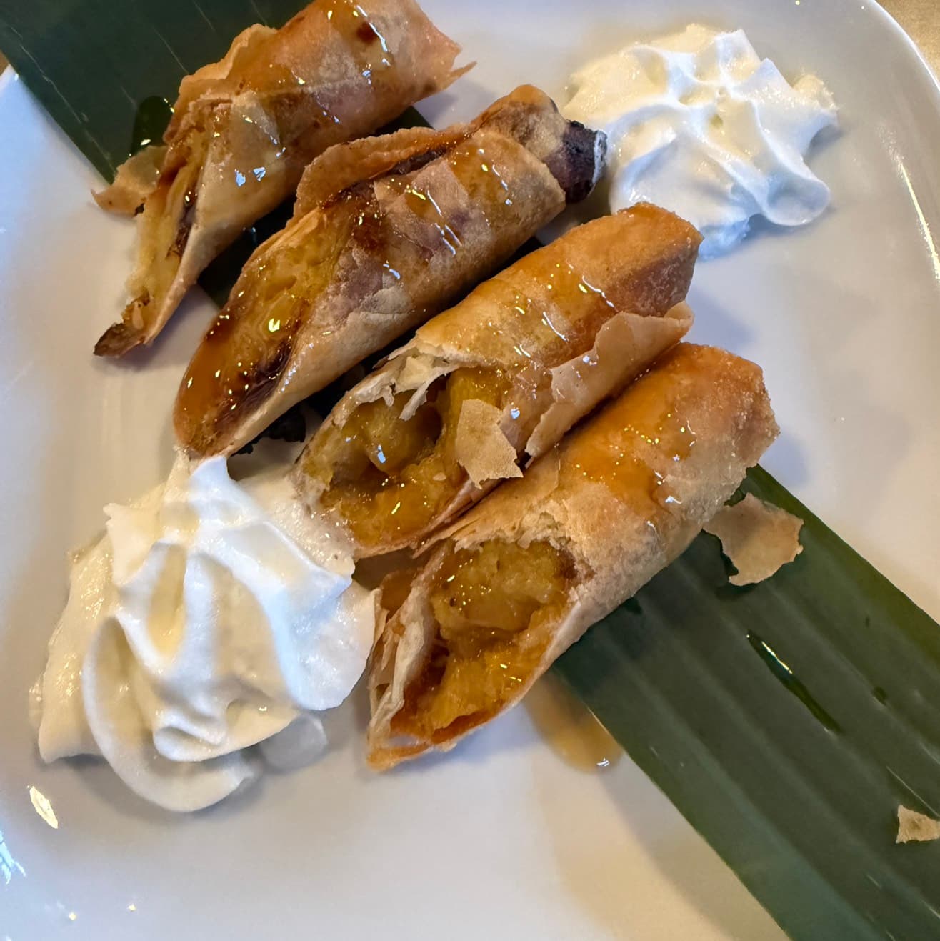 (2) Turon